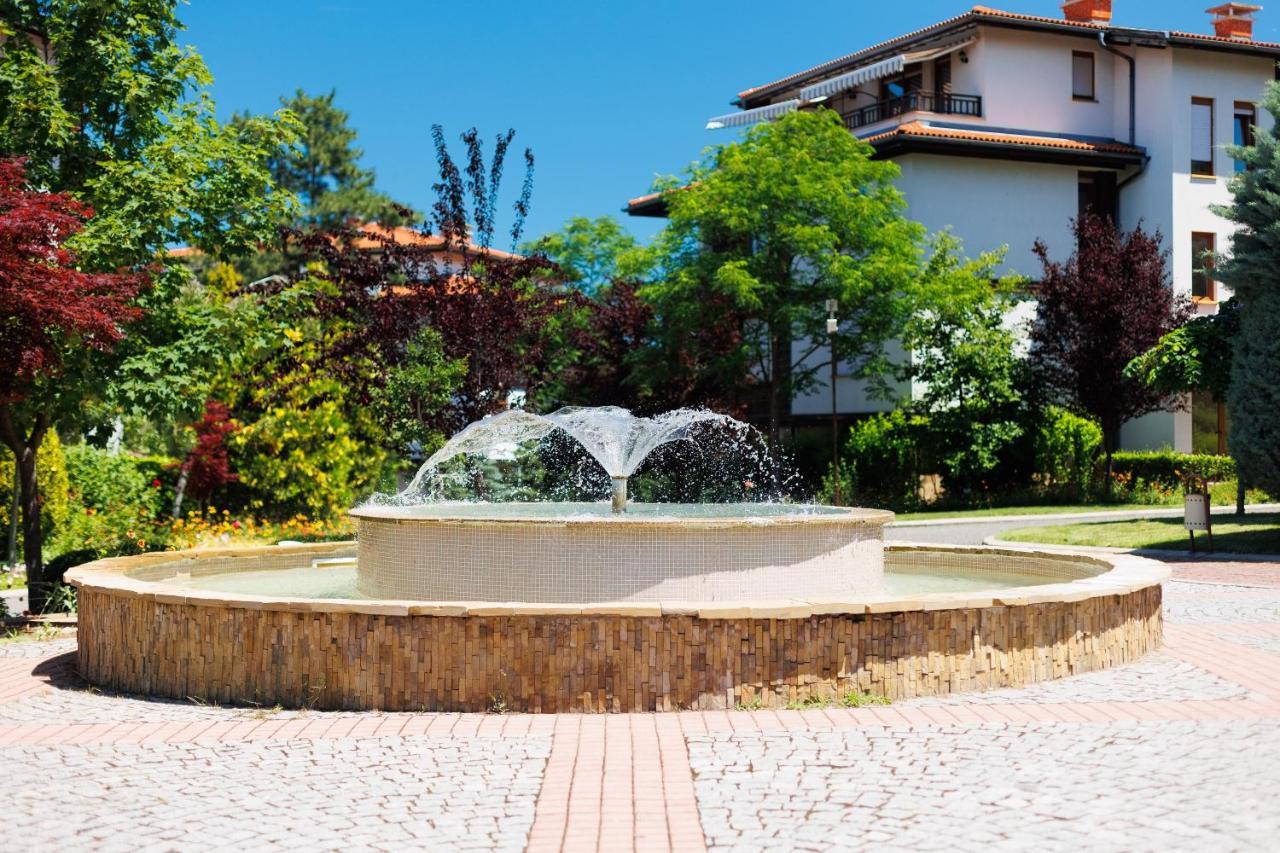 Dreambg Süzebolu