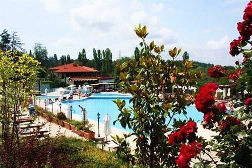 Dreambg Süzebolu